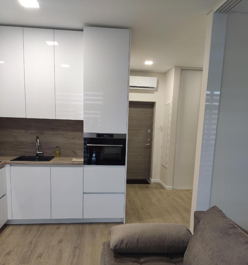 Apartment Ainiai Паневежис Экстерьер фото