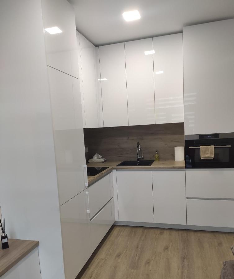 Apartment Ainiai Паневежис Экстерьер фото